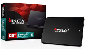 Biostar S100-120GB